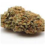 Шишки AK47 (Гидропоника, Бошка) VHQ в Ноябрьске Шишки AK47 (Гидропоника, Бошка) VHQ в Ноябрьске